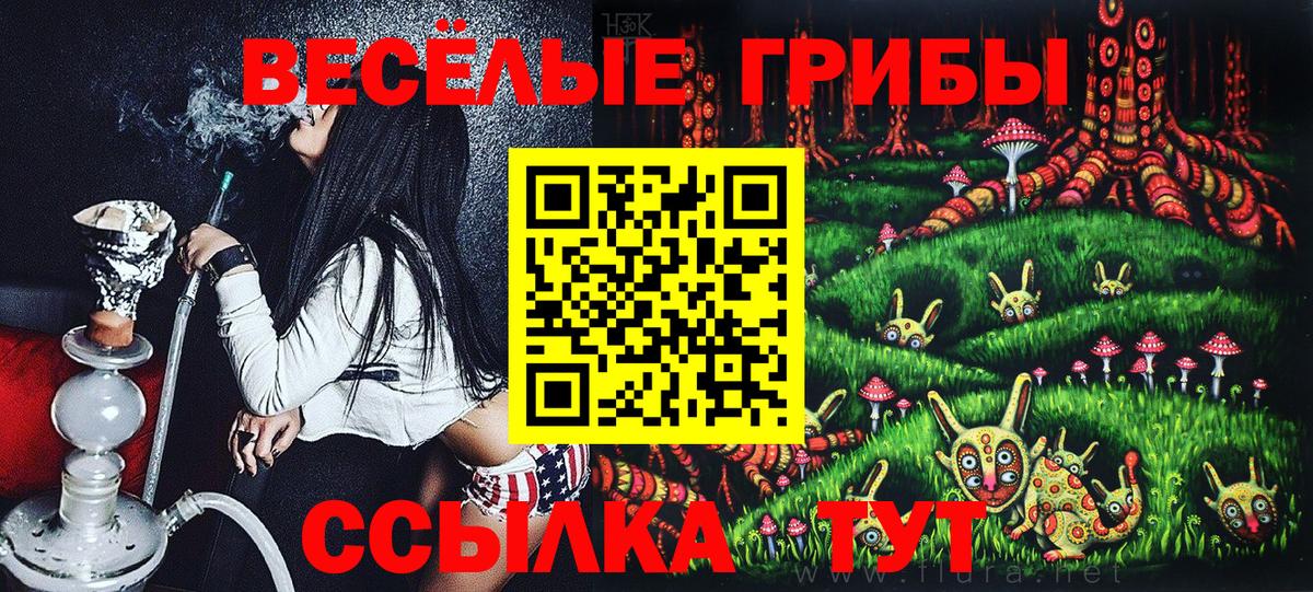 Галлюциногенные грибы прущие грибы Приморско-Ахтарск