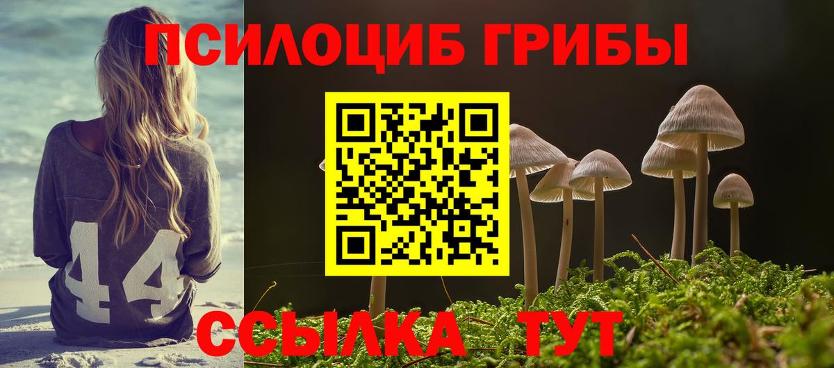 Приморско-Ахтарск  Галлюциногенные грибы мицелий  продажа наркотиков  Вход с VPN 